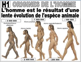 Origines de l'homme