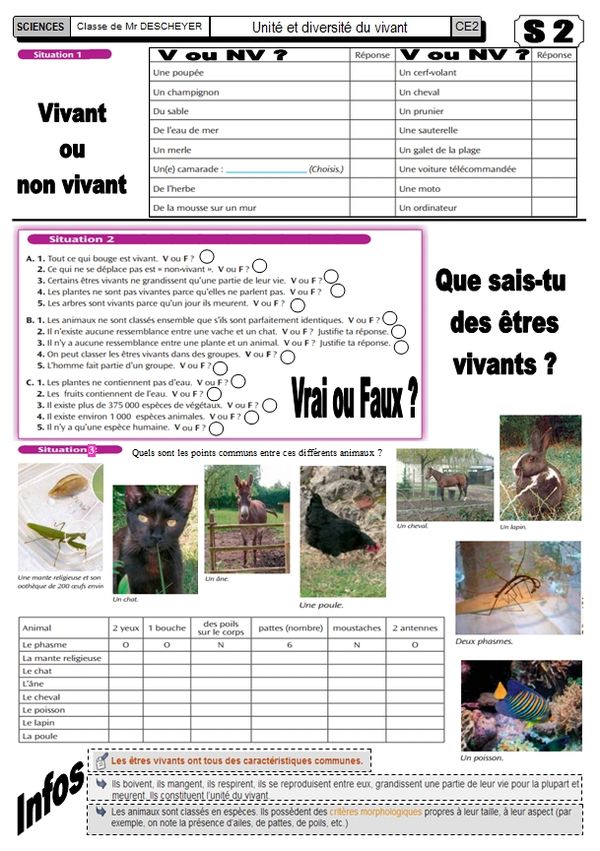 évaluation Vivant Non Vivant Ce2 Pdf Unité et diversité du vivant ( sciences CE2 ) - Le BLOG de Misterdi CE2